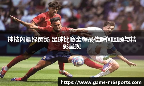米乐体育平台